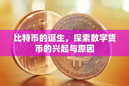 比特币的诞生，探索数字货币的兴起与原因