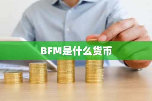 BFM是什么货币
