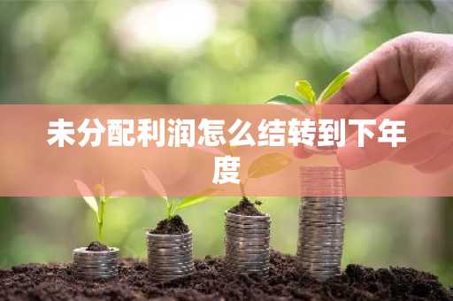 未分配利润怎么结转到下年度