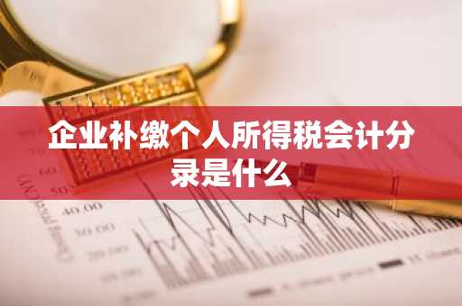 企业补缴个人所得税会计分录是什么