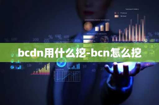 bcdn用什么挖-bcn怎么挖