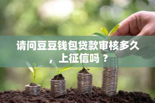 请问豆豆钱包贷款审核多久，上征信吗 ？