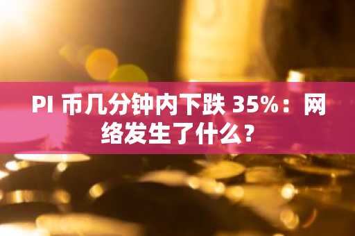 PI 币几分钟内下跌 35%：网络发生了什么？