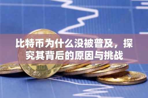 比特币为什么没被普及，探究其背后的原因与挑战