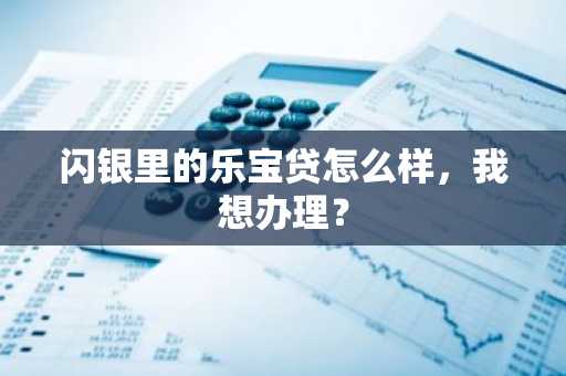 闪银里的乐宝贷怎么样，我想办理？