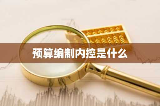 预算编制内控是什么