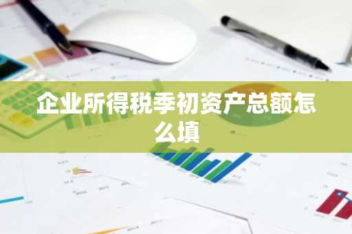 企业所得税季初资产总额怎么填