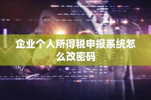 企业个人所得税申报系统怎么改密码