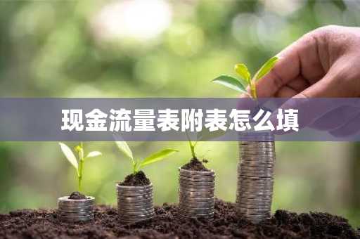 现金流量表附表怎么填
