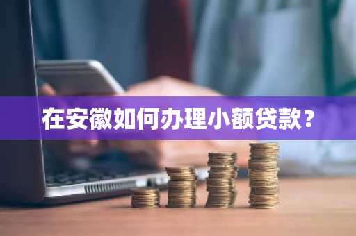 在安徽如何办理小额贷款？