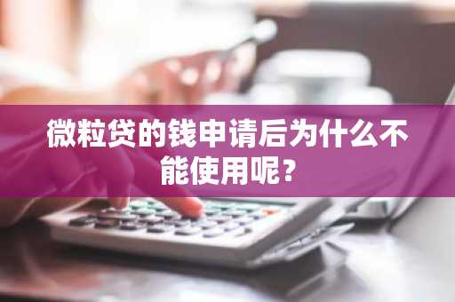 微粒贷的钱申请后为什么不能使用呢？