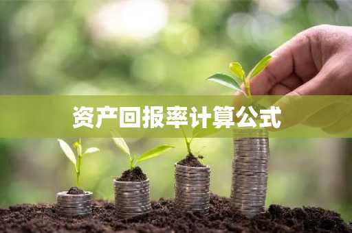 资产回报率计算公式