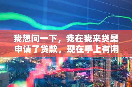 我想问一下，我在我来贷桑申请了贷款，现在手上有闲钱了，可以提前还款吗？