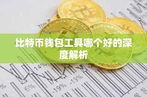 比特币钱包工具哪个好的深度解析