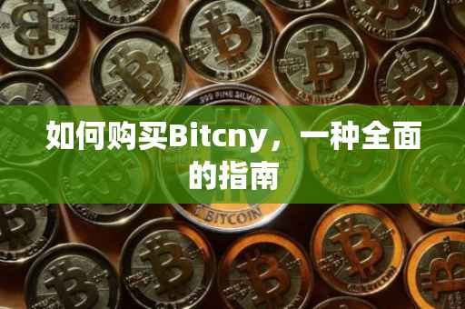 如何购买Bitcny，一种全面的指南