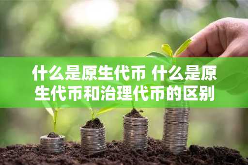 什么是原生代币 什么是原生代币和治理代币的区别