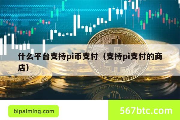 什么平台支持pi币支付（支持pi支付的商店）