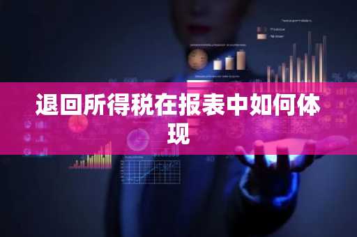 退回所得税在报表中如何体现