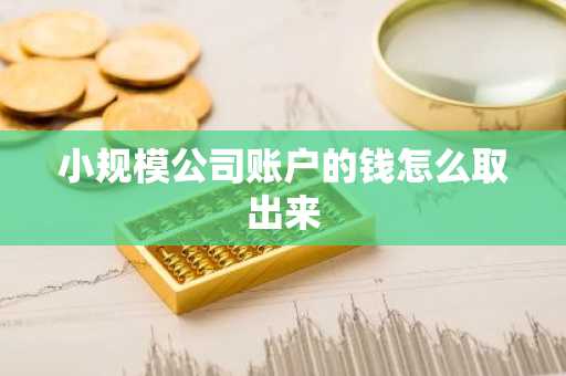 小规模公司账户的钱怎么取出来