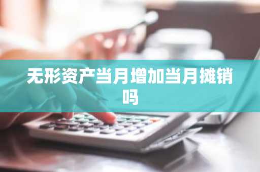 无形资产当月增加当月摊销吗