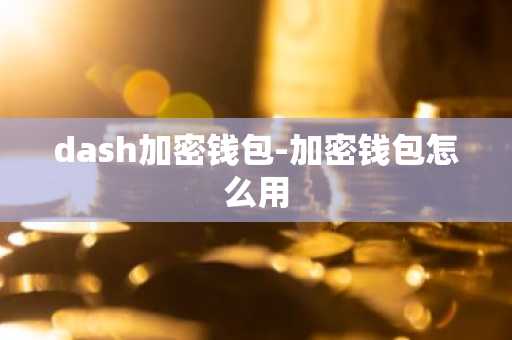 dash加密钱包-加密钱包怎么用