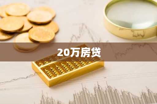 20万房贷