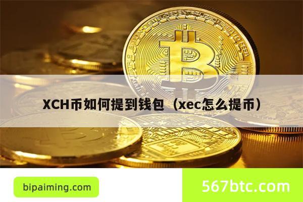 XCH币如何提到钱包（xec怎么提币）