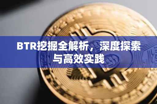 BTR挖掘全解析，深度探索与高效实践