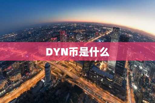 DYN币是什么