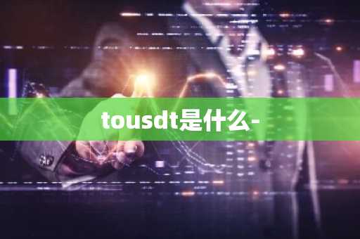 tousdt是什么-