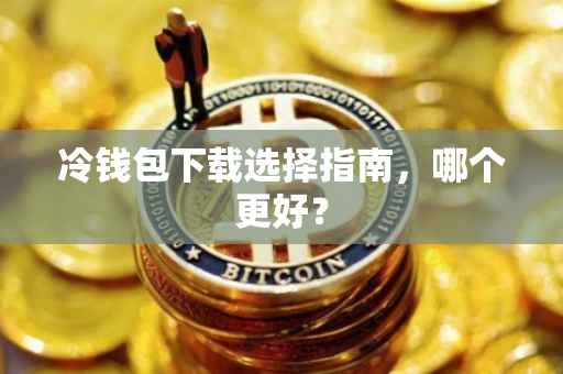 冷钱包下载选择指南，哪个更好？