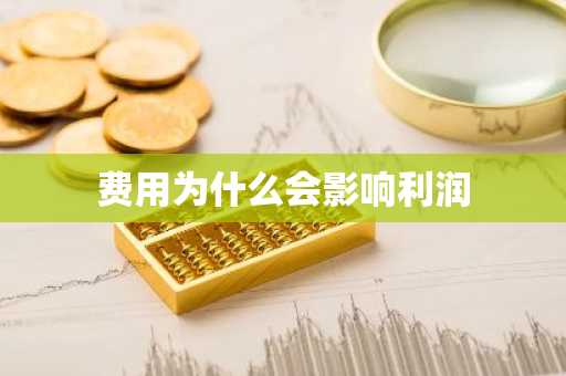 费用为什么会影响利润