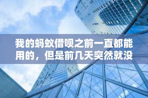 我的蚂蚁借呗之前一直都能用的，但是前几天突然就没有额度了，借呗额度没了是怎么回事？