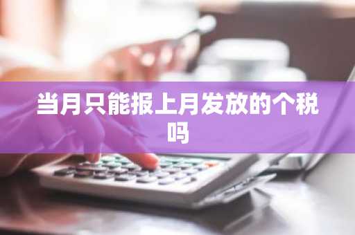 当月只能报上月发放的个税吗
