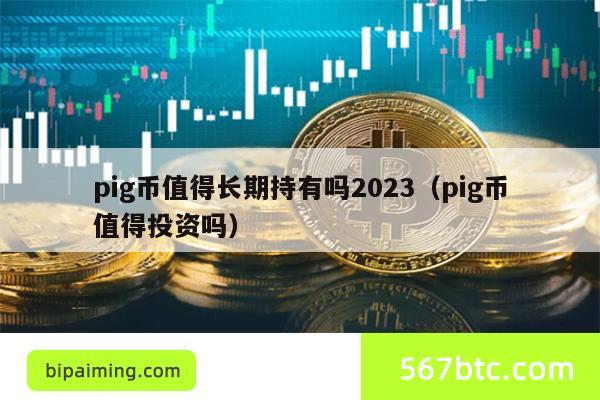 pig币值得长期持有吗2023（pig币值得投资吗）