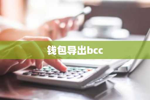 钱包导出bcc