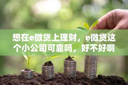 想在e微贷上理财，e微贷这个小公司可靠吗，好不好啊？