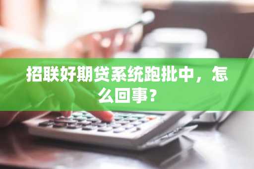 招联好期贷系统跑批中，怎么回事？