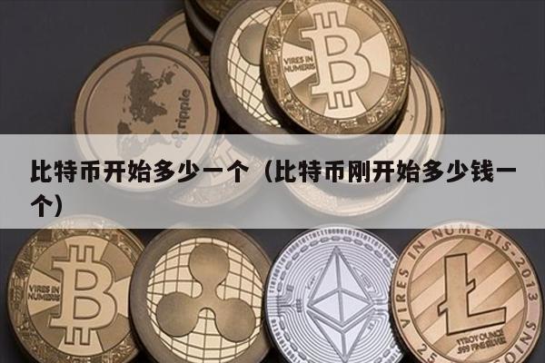 比特币开始多少一个（比特币刚开始多少钱一个）