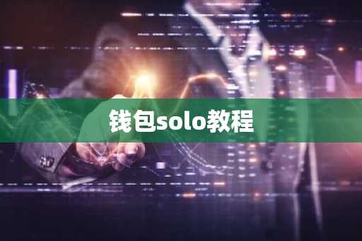 钱包solo教程