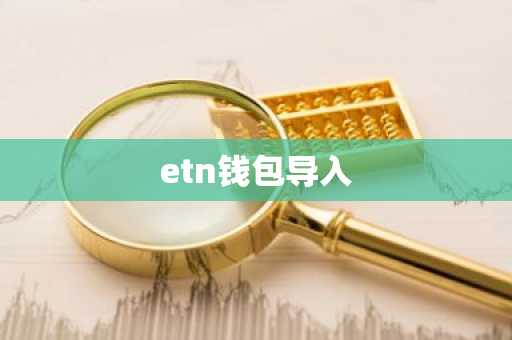 etn钱包导入