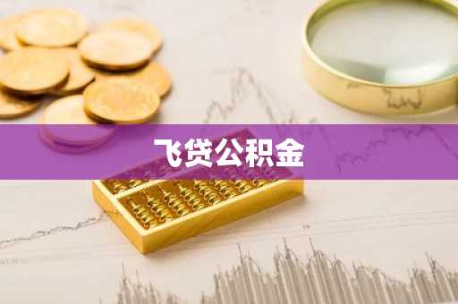 飞贷公积金