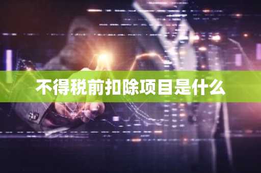 不得税前扣除项目是什么