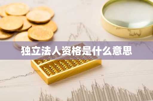 独立法人资格是什么意思