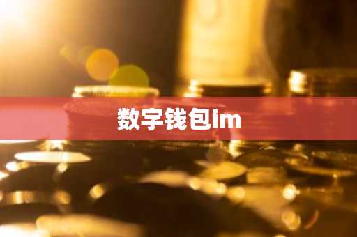 数字钱包im
