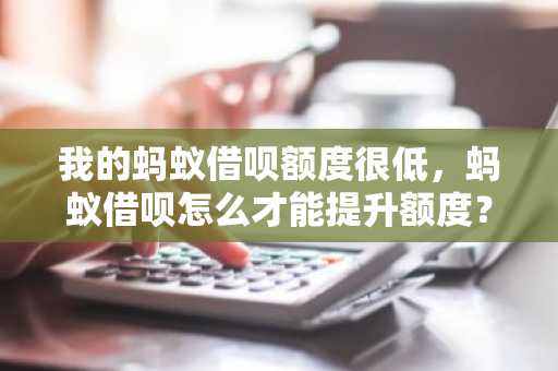 我的蚂蚁借呗额度很低，蚂蚁借呗怎么才能提升额度？有什么方法吗？