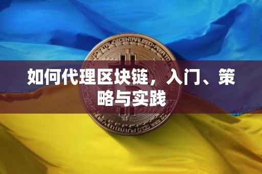 如何代理区块链，入门、策略与实践