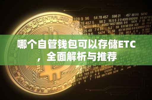 哪个自管钱包可以存储ETC，全面解析与推荐
