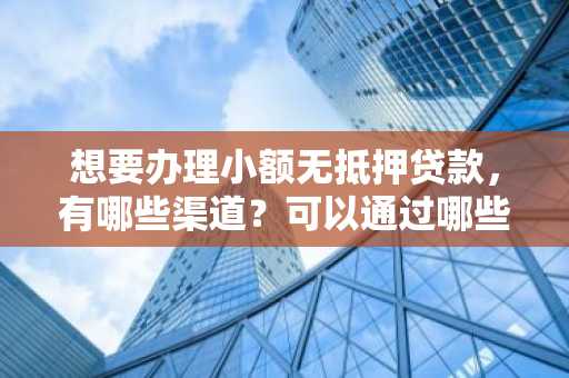 想要办理小额无抵押贷款，有哪些渠道？可以通过哪些途径进行贷款？