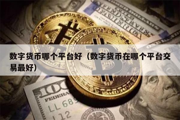 数字货币哪个平台好（数字货币在哪个平台交易最好）